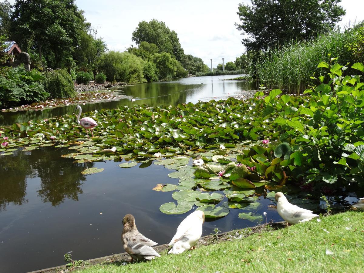 Paradijs Eiland Hillegom Bagian luar foto